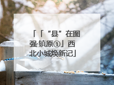 「“县”在图强·镇原①」西北小城焕新记