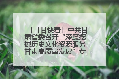 「甘快看」中共甘肃省委召开“深度挖掘历史文化资源服务甘肃高质量发展”专题协商座谈会 胡昌升主持并讲话
