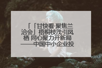 「甘快看·聚焦兰洽会」梧桐枝茂引凤栖 同心聚力开新局——中国中小企业投资洽谈会侧记