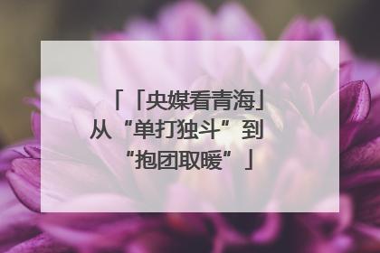 「央媒看青海」从“单打独斗”到“抱团取暖”
