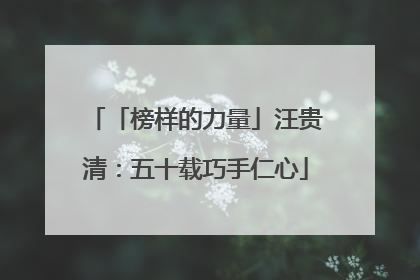 「榜样的力量」汪贵清：五十载巧手仁心