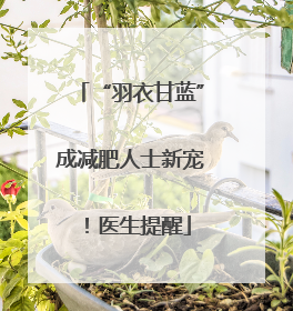 “羽衣甘蓝”成减肥人士新宠！医生提醒