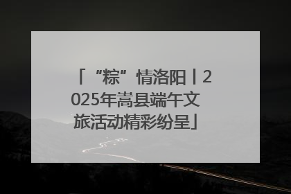 “粽”情洛阳丨2025年嵩县端午文旅活动精彩纷呈