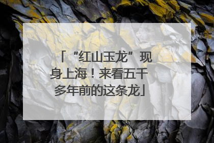 “红山玉龙”现身上海！来看五千多年前的这条龙