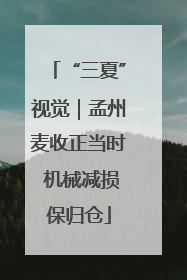 “三夏”视觉｜孟州麦收正当时 机械减损保归仓