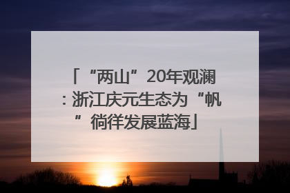 “两山”20年观澜：浙江庆元生态为“帆”徜徉发展蓝海