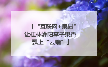 “互联网+果园”让桂林灌阳李子果香飘上“云端”