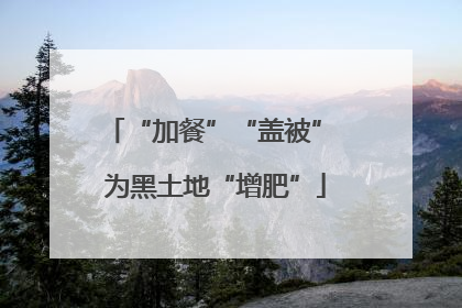 “加餐”“盖被” 为黑土地“增肥”