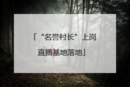 “名誉村长”上岗 直播基地落地