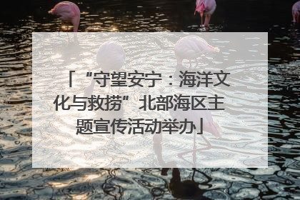 “守望安宁：海洋文化与救捞”北部海区主题宣传活动举办