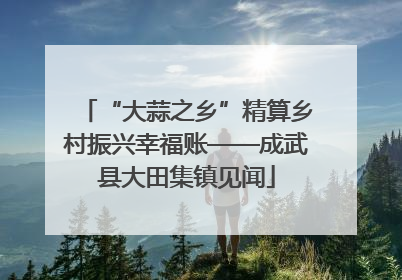 “大蒜之乡”精算乡村振兴幸福账——成武县大田集镇见闻