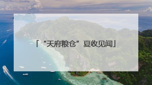 “天府粮仓”夏收见闻