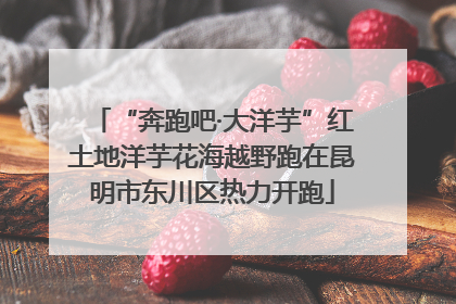 “奔跑吧·大洋芋”红土地洋芋花海越野跑在昆明市东川区热力开跑