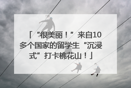 “很美丽！”来自10多个国家的留学生“沉浸式”打卡桃花山！