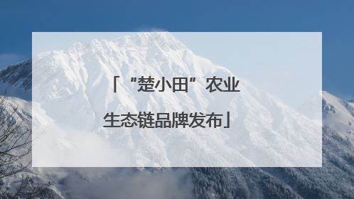 “楚小田”农业生态链品牌发布