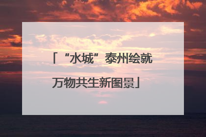 “水城”泰州绘就万物共生新图景
