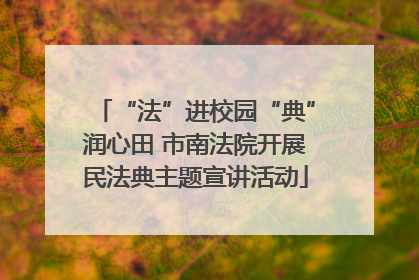 “法”进校园“典”润心田 市南法院开展民法典主题宣讲活动