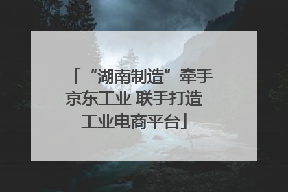 “湖南制造”牵手京东工业 联手打造工业电商平台
