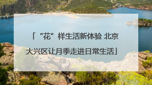 “花”样生活新体验 北京大兴区让月季走进日常生活