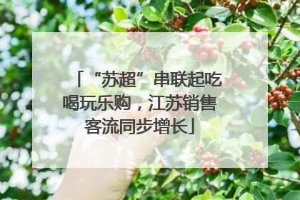 “苏超”串联起吃喝玩乐购，江苏销售客流同步增长