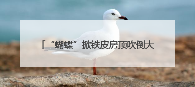 “蝴蝶”掀铁皮房顶吹倒大树 海南消防部门紧急排险