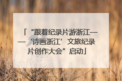 “跟着纪录片游浙江——‘诗画浙江’文旅纪录片创作大会”启动