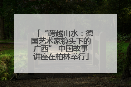 “跨越山水：德国艺术家镜头下的广西” 中国故事讲座在柏林举行