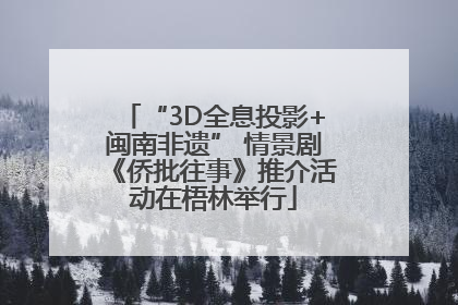 “3D全息投影+闽南非遗” 情景剧《侨批往事》推介活动在梧林举行