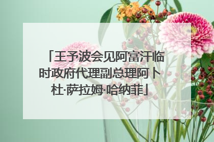 王予波会见阿富汗临时政府代理副总理阿卜杜·萨拉姆·哈纳菲