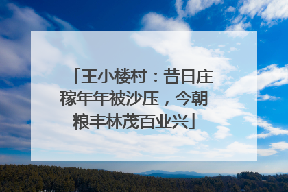 王小楼村：昔日庄稼年年被沙压，今朝粮丰林茂百业兴