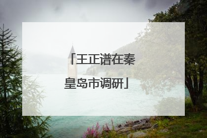 王正谱在秦皇岛市调研