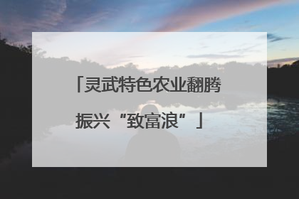 灵武特色农业翻腾振兴“致富浪”