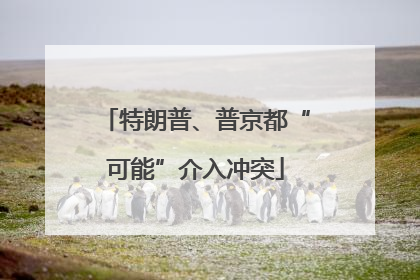 特朗普、普京都“可能”介入冲突