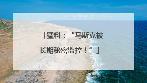 猛料：“马斯克被长期秘密监控！”