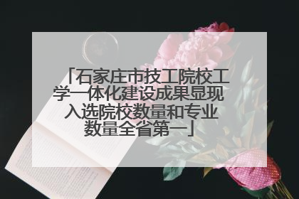 石家庄市技工院校工学一体化建设成果显现 入选院校数量和专业数量全省第一