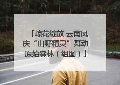 琼花绽放 云南凤庆“山野精灵”舞动原始森林（组图）