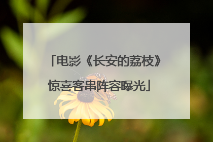 电影《长安的荔枝》惊喜客串阵容曝光
