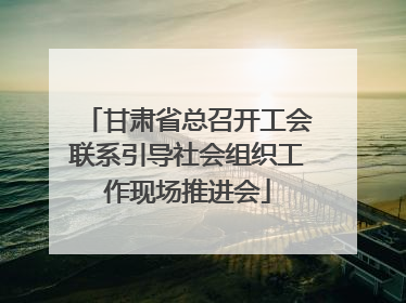 甘肃省总召开工会联系引导社会组织工作现场推进会
