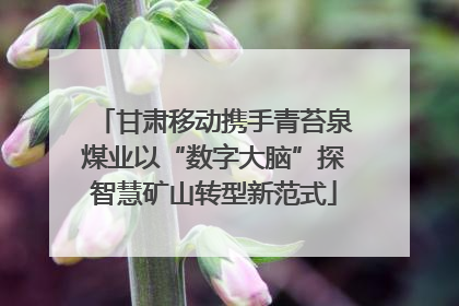甘肃移动携手青苔泉煤业以“数字大脑”探智慧矿山转型新范式
