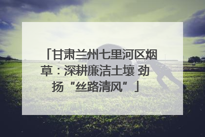 甘肃兰州七里河区烟草：深耕廉洁土壤 劲扬“丝路清风”