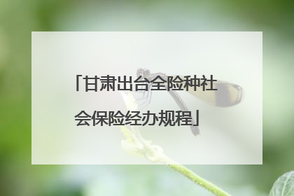 甘肃出台全险种社会保险经办规程