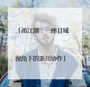 甬江潮：一座县域视角下的浙川协作