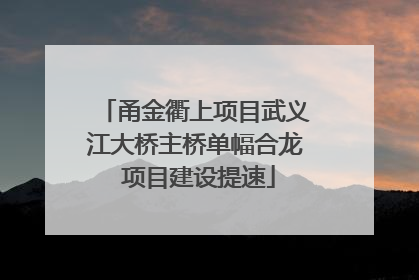甬金衢上项目武义江大桥主桥单幅合龙 项目建设提速