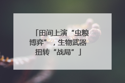 田间上演“虫粮博弈”，生物武器扭转“战局”
