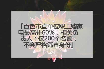 百色市直单位职工购家电最高补60％，相关负责人：仅200个名额，不会严格筛查身份