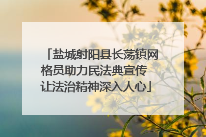 盐城射阳县长荡镇网格员助力民法典宣传 让法治精神深入人心