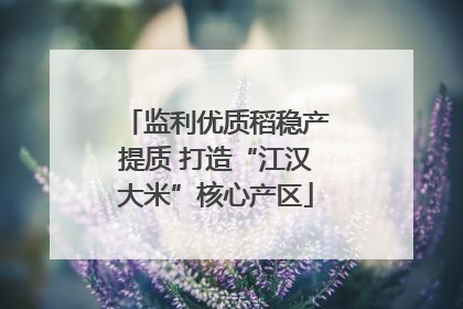 监利优质稻稳产提质 打造“江汉大米”核心产区