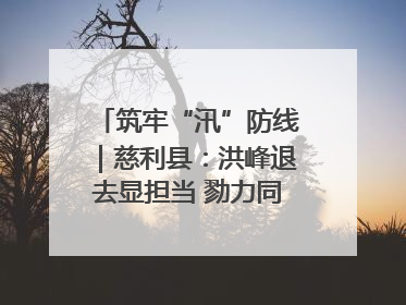 筑牢“汛”防线｜慈利县：洪峰退去显担当 勠力同心启新篇