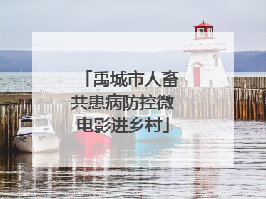 禹城市人畜共患病防控微电影进乡村
