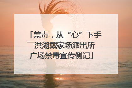 禁毒，从“心”下手――洪湖戴家场派出所广场禁毒宣传侧记